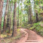 Fototapet Living Walls Designwalls DD118626