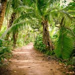 Fototapet Living Walls Designwalls DD118634