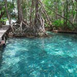 Fototapet Living Walls Designwalls DD118638