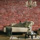 Fototapet Living Walls Designwalls DD118784