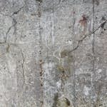 Fototapet Living Walls Designwalls DD118791