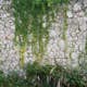 Fototapet Living Walls Designwalls DD118793