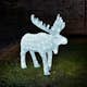 Dekorationsbelysning Gnosjö Konstsmide Älg 136 st LED