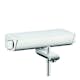 Dusch- och Badkarsblandare Hansgrohe Ecostat Select 150 cc