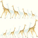 Tapet York Wallcoverings Dwell Studio Baby & Kids DW2360