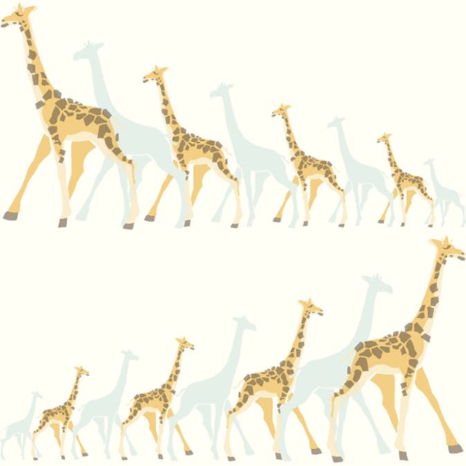 Tapet York Wallcoverings Dwell Studio Baby & Kids DW2360