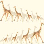 Tapet York Wallcoverings Dwell Studio Baby & Kids DW2361