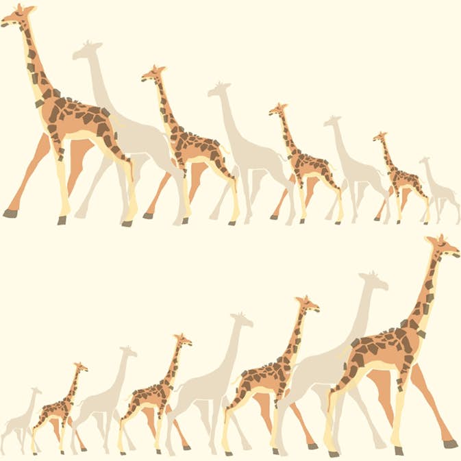 Tapet York Wallcoverings Dwell Studio Baby & Kids DW2361