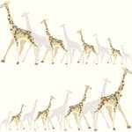 Tapet York Wallcoverings Dwell Studio Baby & Kids DW2362