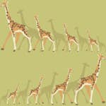 Tapet York Wallcoverings Dwell Studio Baby & Kids DW2364