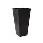 Blomkruka Recal Sonata