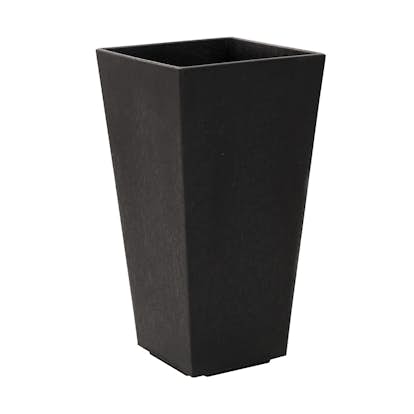 Blomkruka Recal Sonata