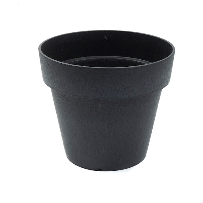 Blomkruka Recal Bariton