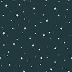Tapet ESTAhome Självlysande Stjärnor Mörkblått EW139262