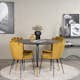 Matgrupp furniture/fashion Disa med 4 Limhamn Light Stolar