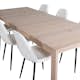 Matgrupp Venture Home Shy med 6 Pooya Stolar