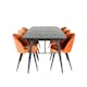 Matgrupp Venture Home Gold med 4 Velvet stolar