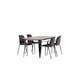 Matgrupp Venture Home Tempe med 4 Ursholmen Stolar