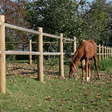 Häststängsel Hortus