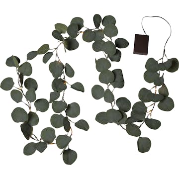 Grangirlang Star Trading Eucalyptus 2 m Battery Indoor