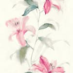 Tapet Wallquest Jasmine JA31601