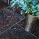 Natursten Stencentralen Sapphire Brown Granit Polerad 30x60 cm