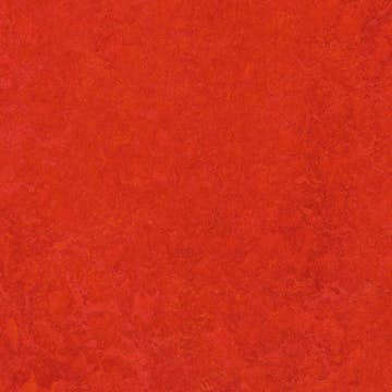 Linoleumgolv Forbo Marmoleum Click Scarlet 30x30cm med Klicksystem