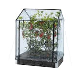 Drivhus Hortus Transparent Plast, Passar till Odlingskrage - 80x120cm, Höjd 110/130 cm