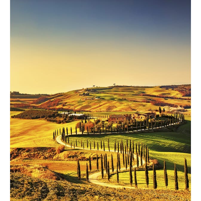 Tapet Dimex Tuscany