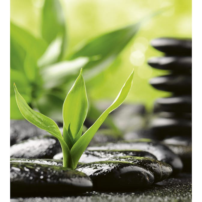 Tapet Dimex Zen Stones