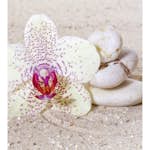 Tapet Dimex Relaxation Sand