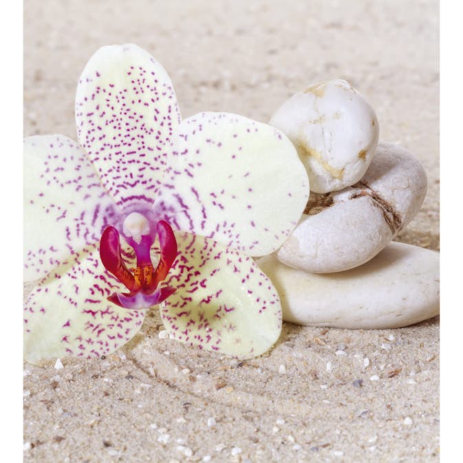 Tapet Dimex Relaxation Sand