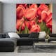 Tapet Dimex Red Tulips