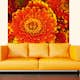 Tapet Dimex Gerbera
