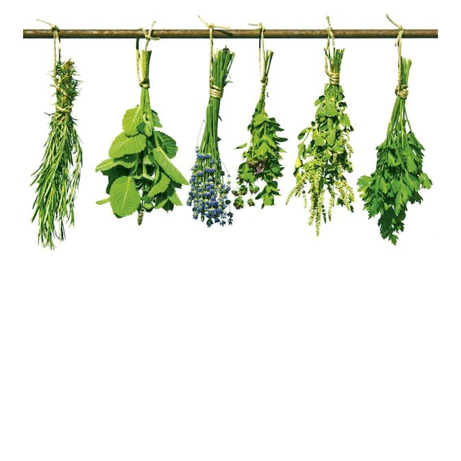 Tapet Dimex Herbs