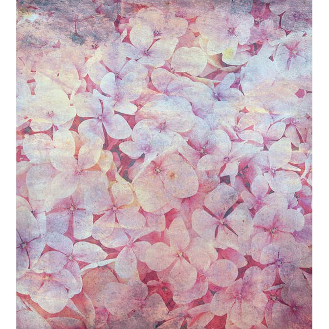 Fototapet Dimex Apple Tree Abstract I