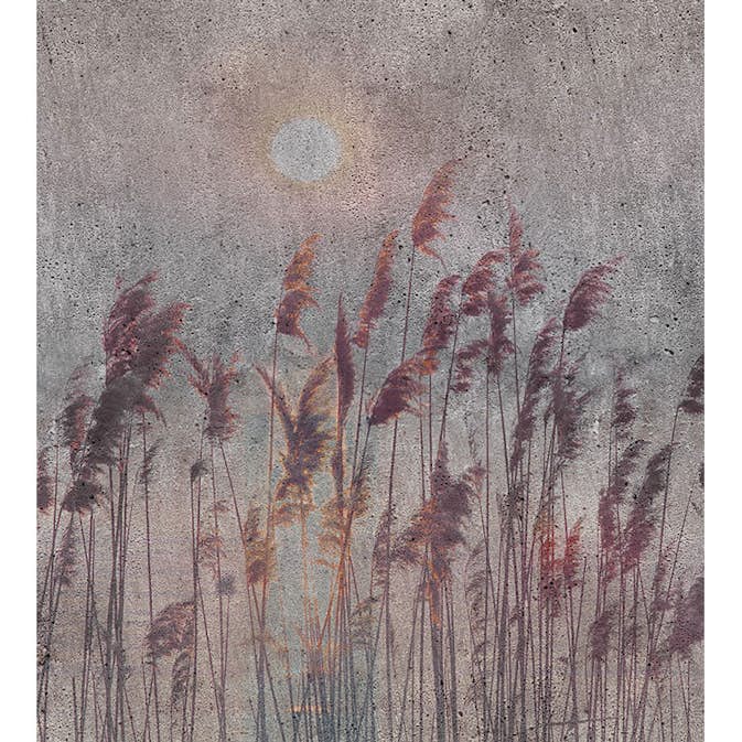 Fototapet Dimex Reed Abstract