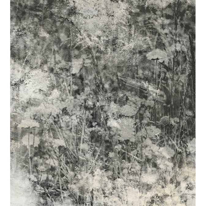 Fototapet Dimex Nature Gray Abstract