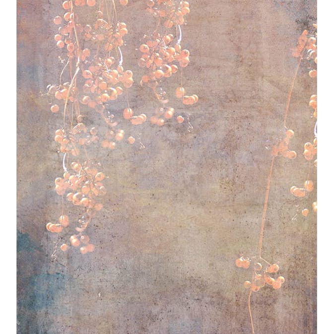 Fototapet Dimex Currant Abstract