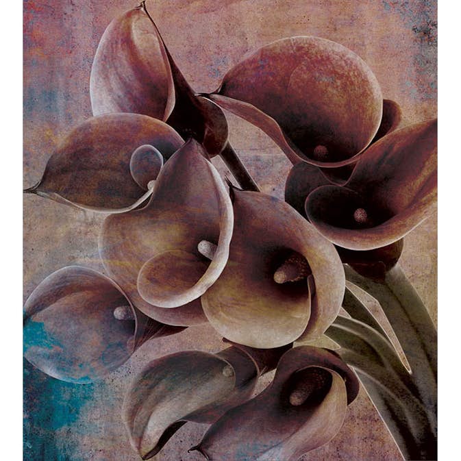 Fototapet Dimex Flower Abstract II