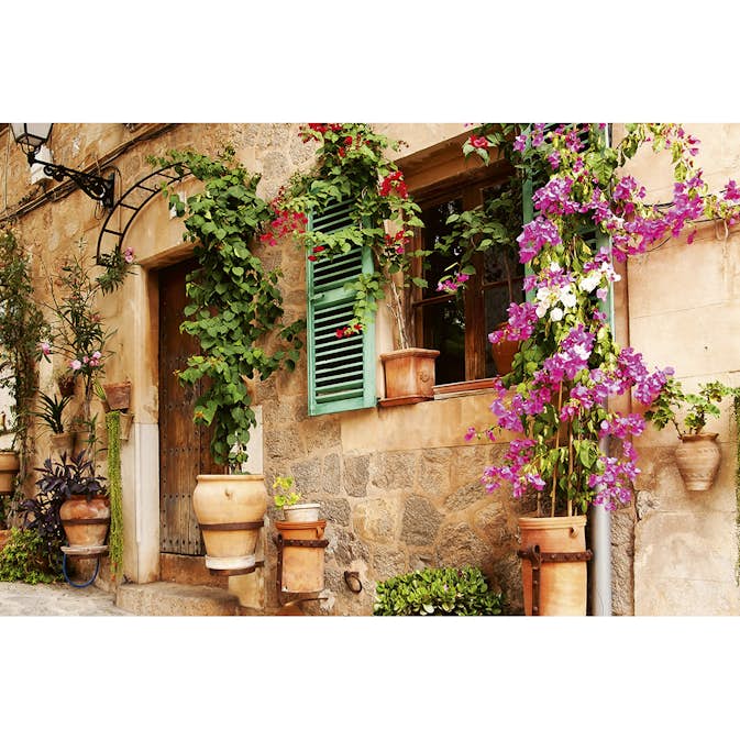 Tapet Dimex Street Garden