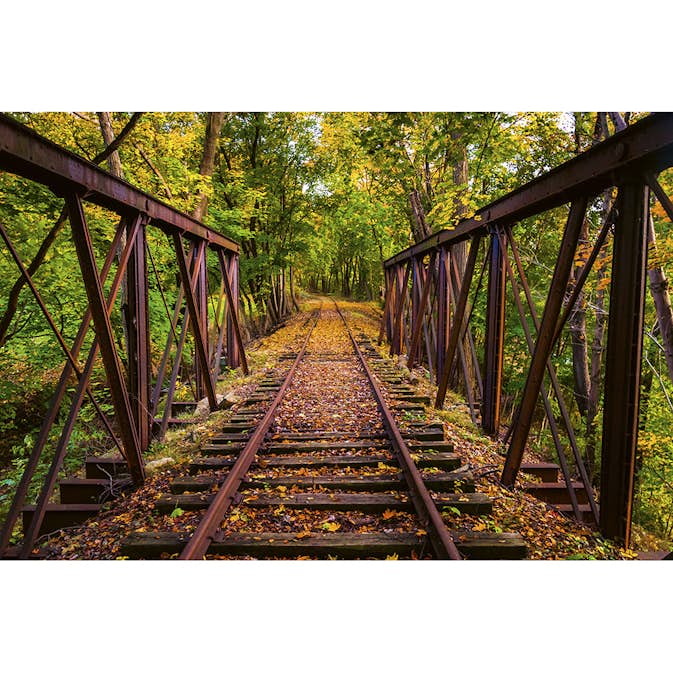 Tapet Dimex Railroad