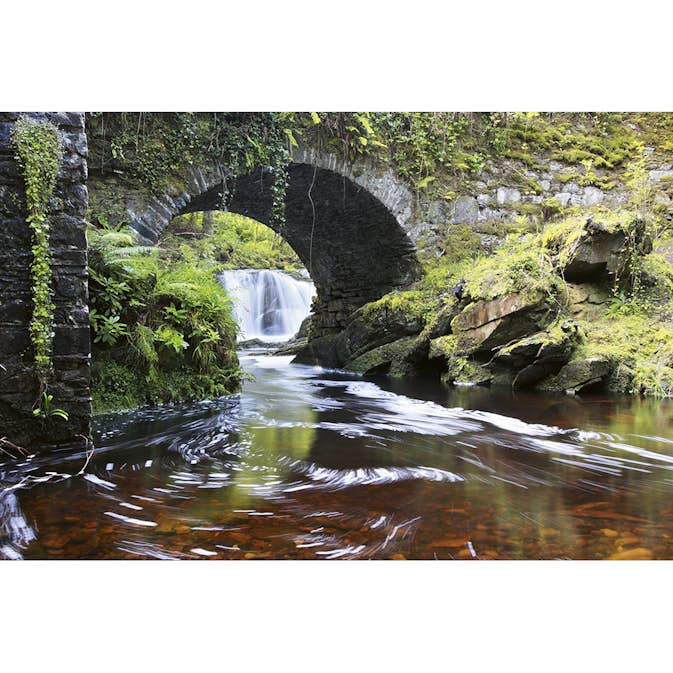 Tapet Dimex Ireland