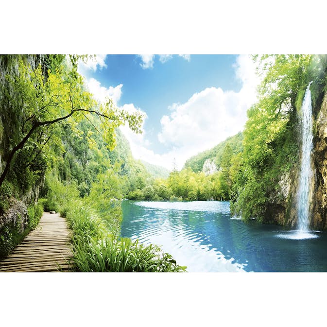 Tapet Dimex Relax in Forest