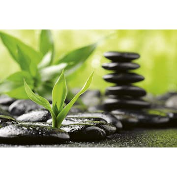 Tapet Dimex Zen Stones