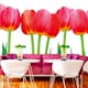 Tapet Dimex Bed of Tulips