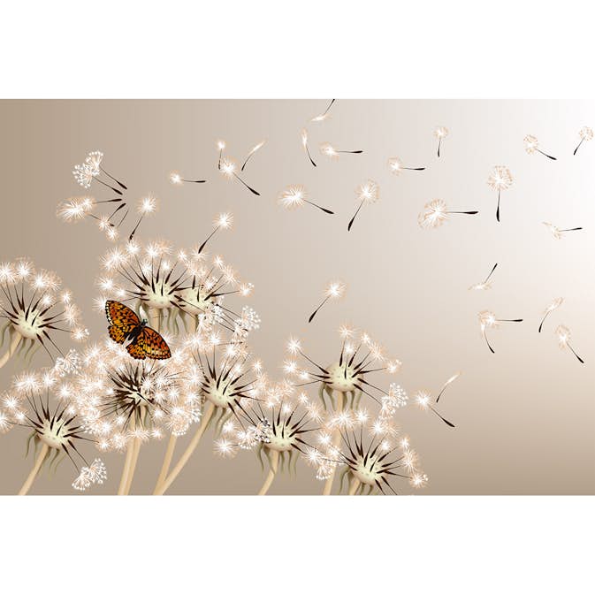 Tapet Dimex Dandelions And Butterfly