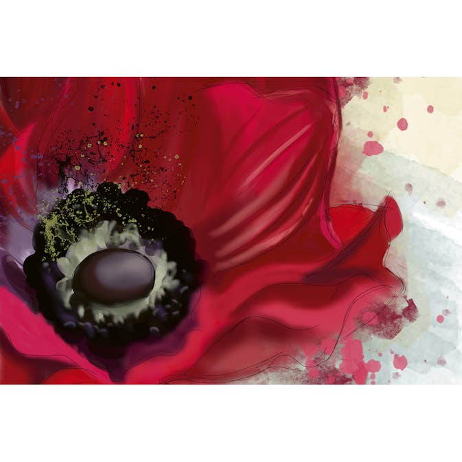 Tapet Dimex Poppy