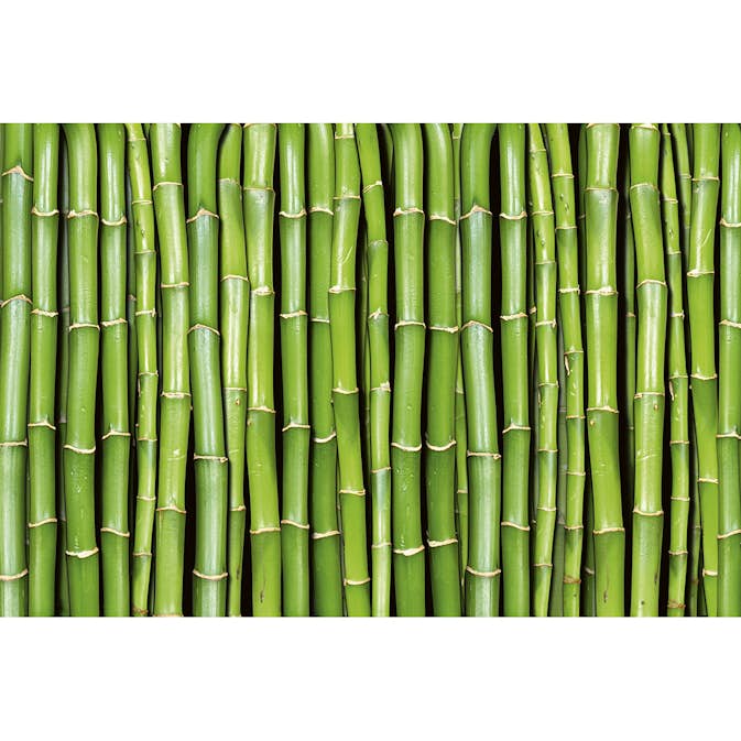 Tapet Dimex Bamboo