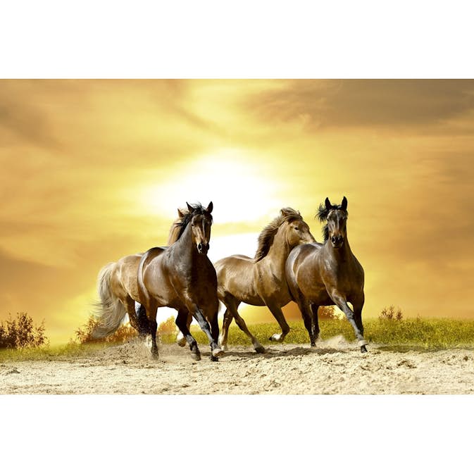 Tapet Dimex Horses In Sunset
